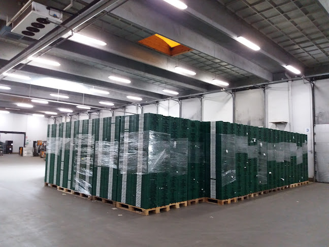 H & P Frugtimport A/S - Vejle