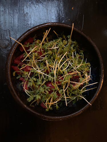 Store Kongensgade 52, 1264 København