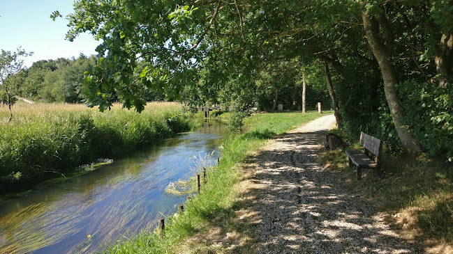 Opinii despre Skovpavillonen în Holsted - Gastronomi og hotelvirksomhed