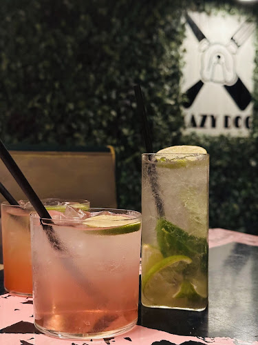 Comentarii opinii despre Lazy Dog