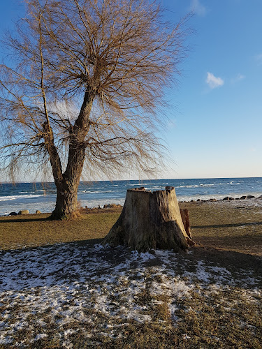 Comentarii opinii despre Ishuset Gammel Strandvej