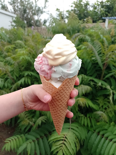 Opinii despre M în Slagelse - Gastronomi og hotelvirksomhed