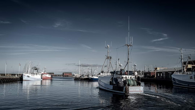 Comentarii opinii despre Restaurant Gilleleje Havn