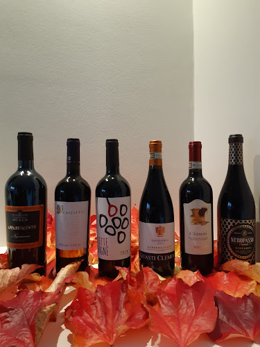 Comentarii opinii despre vinleverandøren