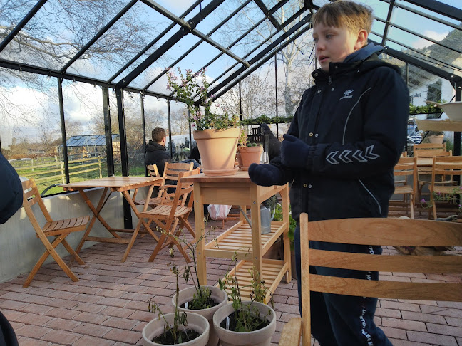 Comentarii opinii despre Rabarbergaarden