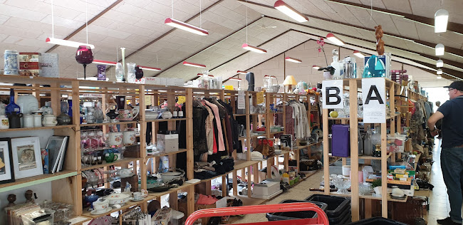 Guld & Rod Ribe - Ribe