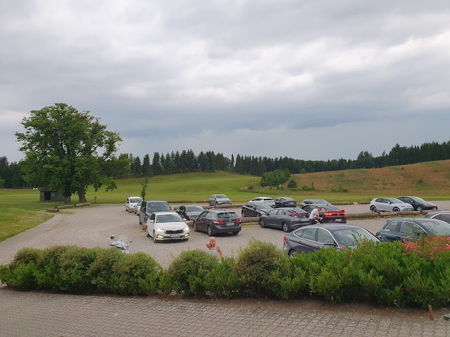 Comentarii opinii despre Café Victoria Douglashuset