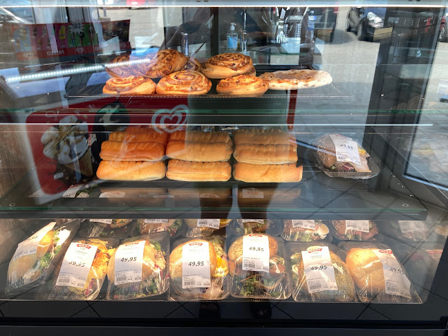 Comentarii opinii despre Kystbageren