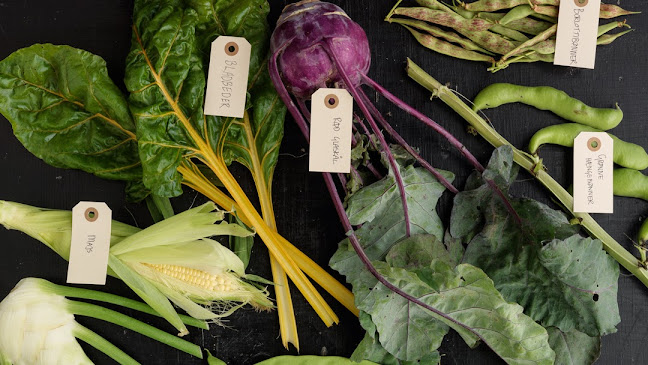 Aarstiderne - Gastronomi og hotelvirksomhed