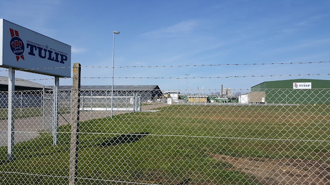 Comentarii opinii despre Tulip Food Company A/S
