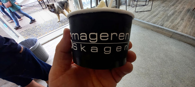 Comentarii opinii despre ISmageren Skagen