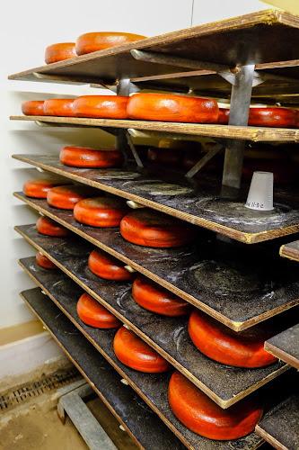 Sønderhaven Gårdmejeri - Brønderslev