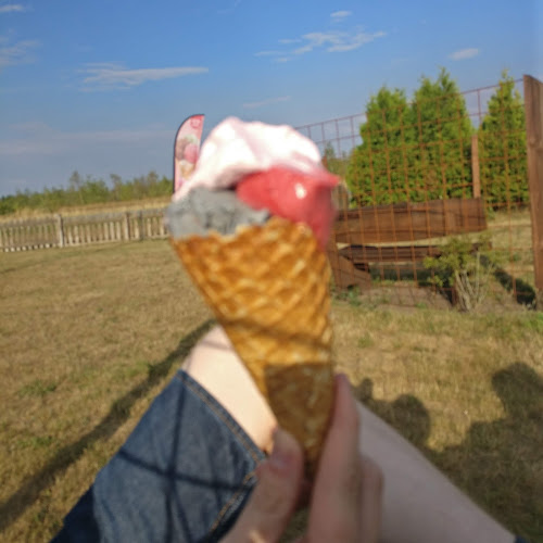 Den Rullende Kok - Gastronomi og hotelvirksomhed