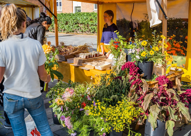 Skjolds Pl., 2200 København