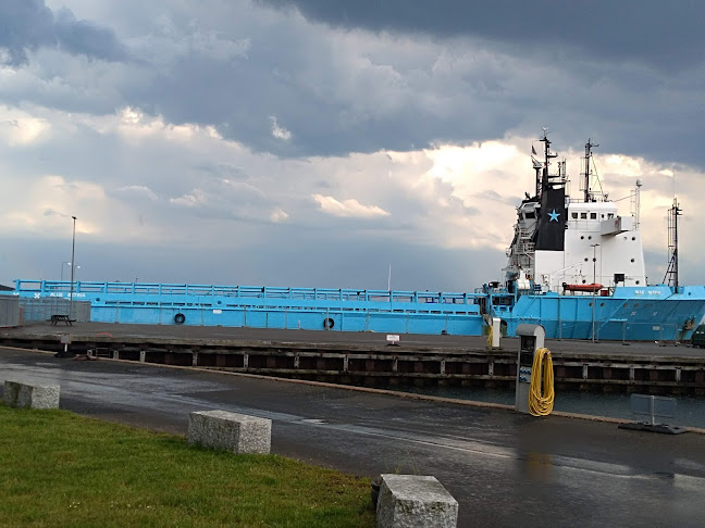 Opinii despre Alanya kebab house în Faaborg - Gastronomi og hotelvirksomhed