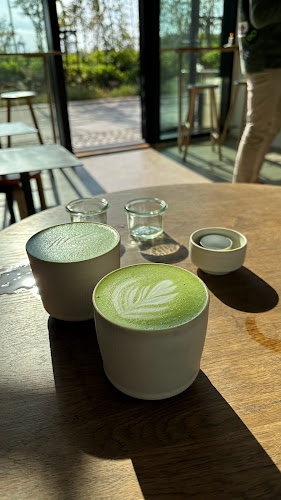 Comentarii opinii despre Monk