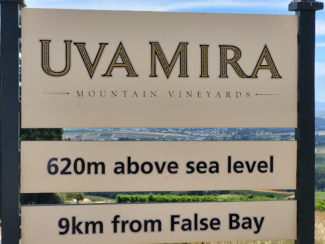 Comentarii opinii despre Lesedi Wines v/Hans Cramer Olesen Øllgaard