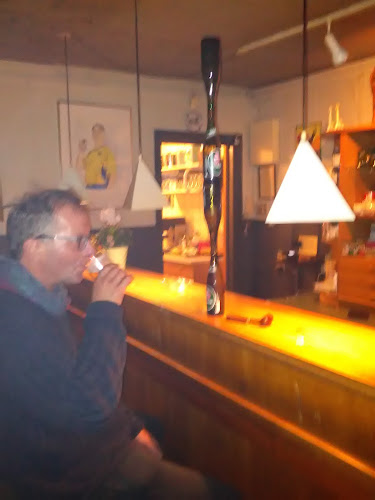 Comentarii opinii despre Restaurant Trekanten