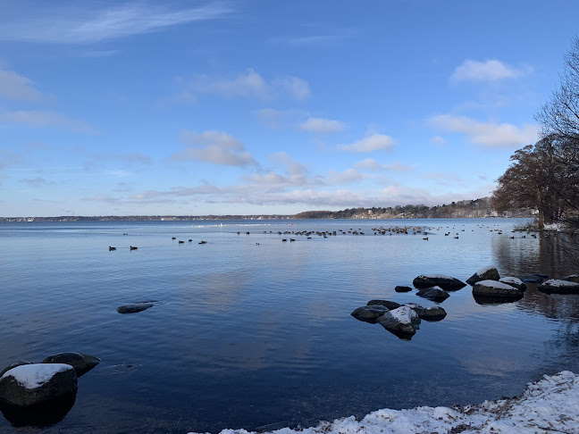 Comentarii opinii despre Sørup Is & Kaffestue