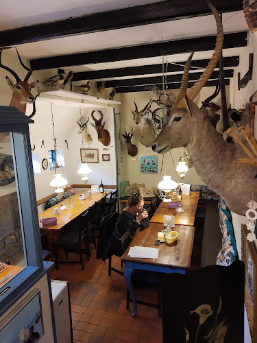 Comentarii opinii despre Malerklemmen