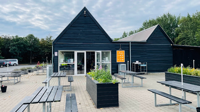 Comentarii opinii despre Burger