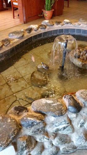 Comentarii opinii despre Restaurant Sheng Hua