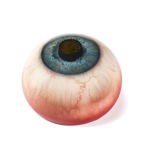 Refshalevej 173C, 1432 København K