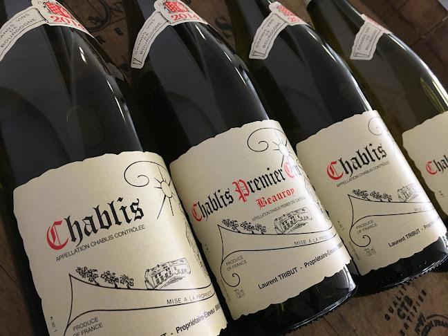 ATOMWINE ApS - Gastronomi og hotelvirksomhed