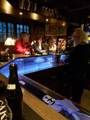 Comentarii opinii despre Mørkhøj Bodega