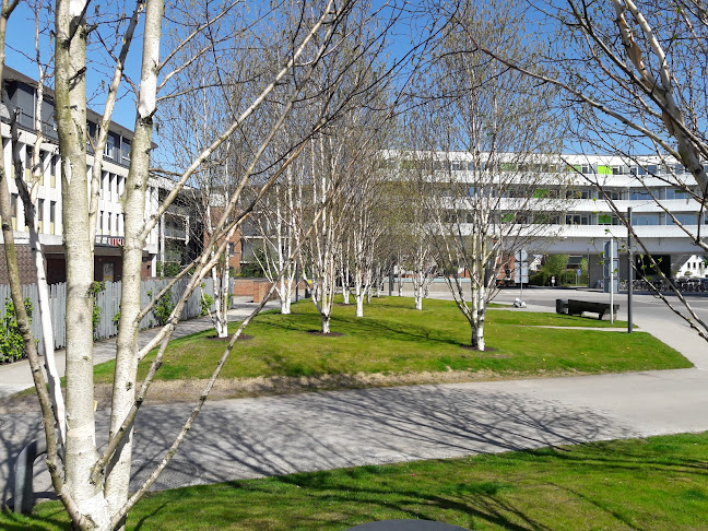 Baren Herning - Gastronomi og hotelvirksomhed