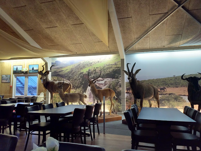 Nygaards Afrika - Jagtmuseum - Dyrehave - Musik & Dansested - Restaurant - Gårdbutik - Overnatning