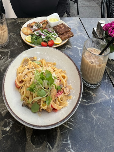 Comentarii opinii despre Katz