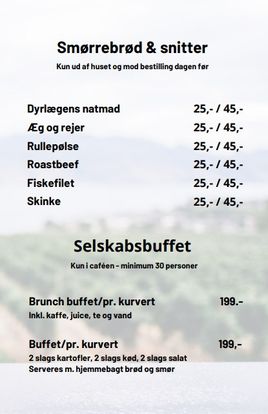 Comentarii opinii despre VadehavsCaféen