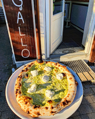 Opinii despre Da Gallo Pizzeria în Skibby - Gastronomi og hotelvirksomhed