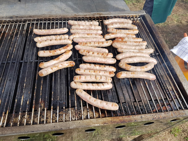 Comentarii opinii despre Aarstiderne