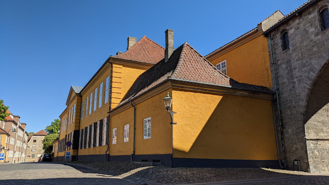 Comentarii opinii despre Odd Fellow Palæet