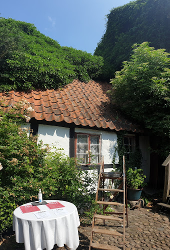 Comentarii opinii despre Smag