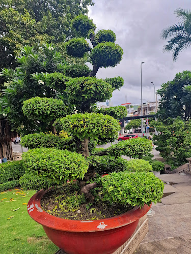 Comentarii opinii despre Restaurant Vietnam