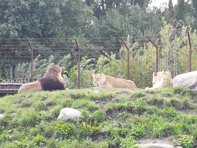 Søndre Blvd. 306, 5000 Odense