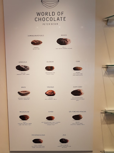 Comentarii opinii despre Peter Beier