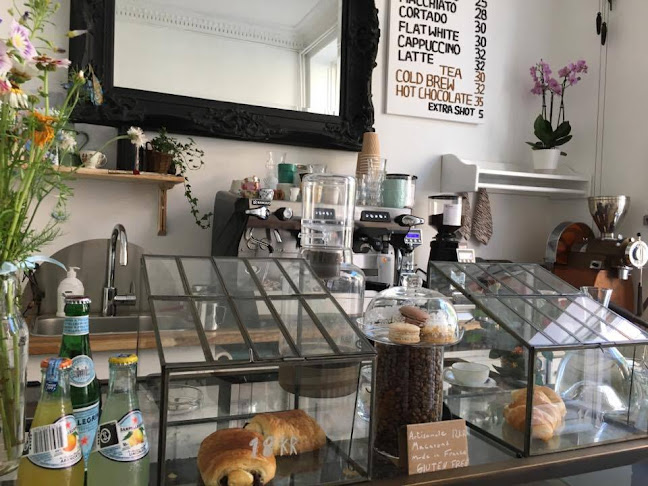 The Nomad & The Bean