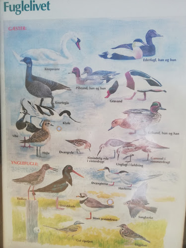 Opinii despre Revle Kiosken în Køge - Gastronomi og hotelvirksomhed