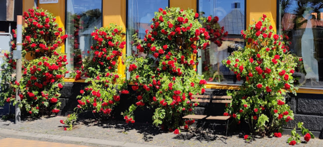 Cafe Noora - Gastronomi og hotelvirksomhed