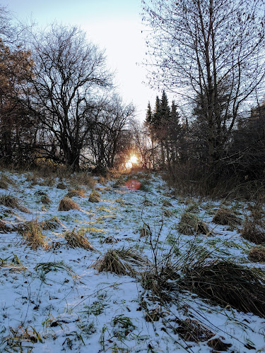 Opinii despre Sabay Sabay în Odder - Gastronomi og hotelvirksomhed