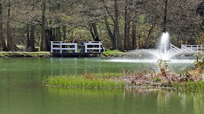 Pøt Møllevej 80, 8450 Hammel
