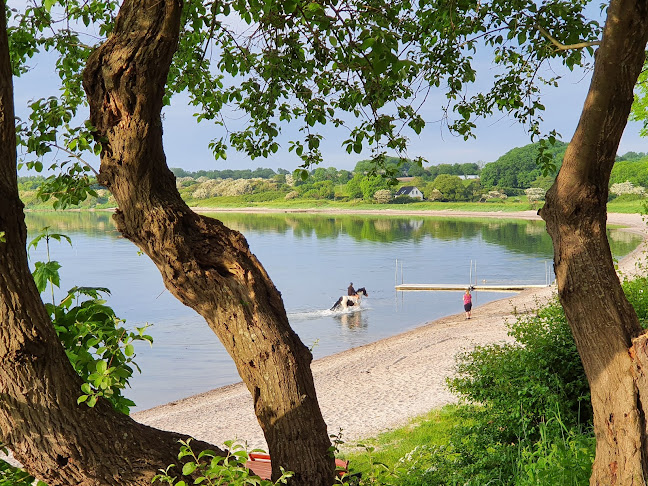 Den Gyldne Løve - Gastronomi og hotelvirksomhed