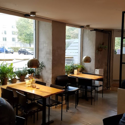 Comentarii opinii despre Baryl