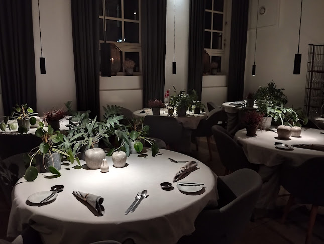 Comentarii opinii despre VeVe