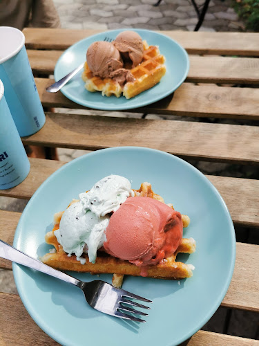 Comentarii opinii despre Holmegaard ismageri