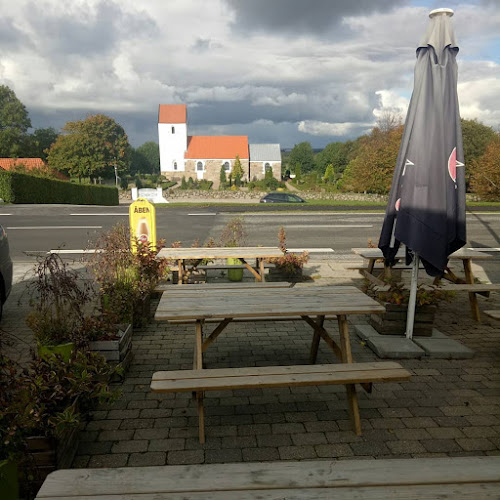 Comentarii opinii despre Frejlev Pizza og Grill